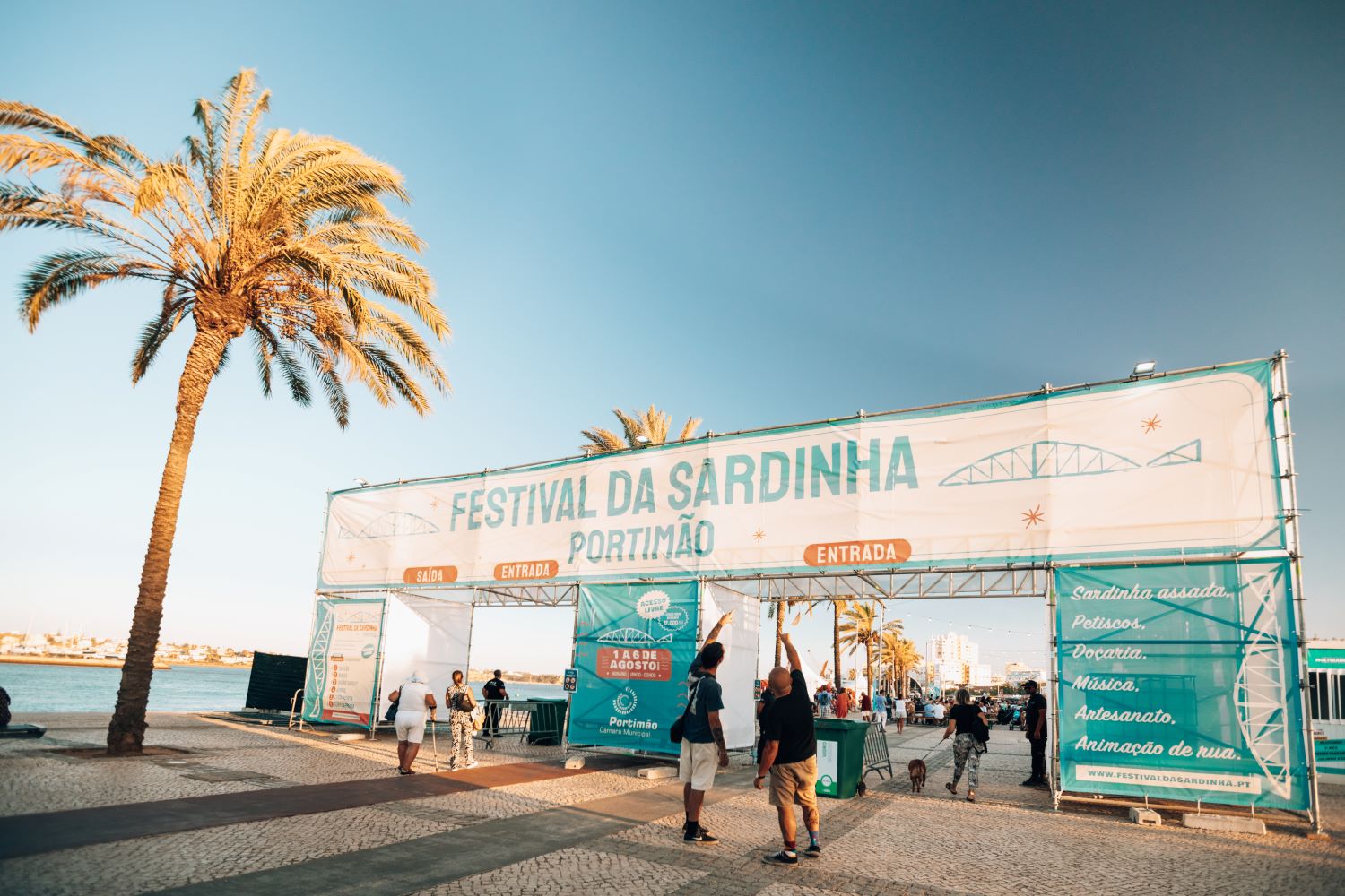 Sul Informação - Festival da Sardinha está quase aí