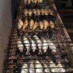 Sul Informação - A Ministra do Mar até aprendeu a assar sardinhas em Portimão (com fotos)