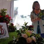 Sul Informação - Festival volta a mostrar as (muitas) camélias de Monchique