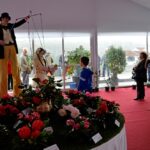 Sul Informação - Festival volta a mostrar as (muitas) camélias de Monchique
