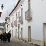 Sul Informação - Festival volta a mostrar as (muitas) camélias de Monchique