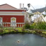 Sul Informação - Festival volta a mostrar as (muitas) camélias de Monchique