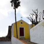 Sul Informação - Festival volta a mostrar as (muitas) camélias de Monchique