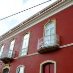 Sul Informação - Festival volta a mostrar as (muitas) camélias de Monchique