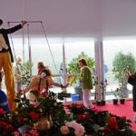 Sul Informação - Festival volta a mostrar as (muitas) camélias de Monchique