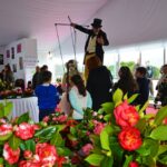 Sul Informação - Festival volta a mostrar as (muitas) camélias de Monchique