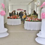 Sul Informação - Fotogaleria: Camélias já andam a mostrar a sua beleza nas Caldas de Monchique