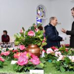 Sul Informação - Fotogaleria: Camélias já andam a mostrar a sua beleza nas Caldas de Monchique