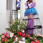 Sul Informação - Fotogaleria: Camélias já andam a mostrar a sua beleza nas Caldas de Monchique