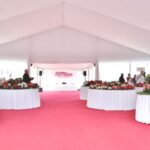 Sul Informação - Festival mostra a beleza das Camélias de Monchique