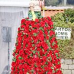 Sul Informação - Festival mostra a beleza das Camélias de Monchique