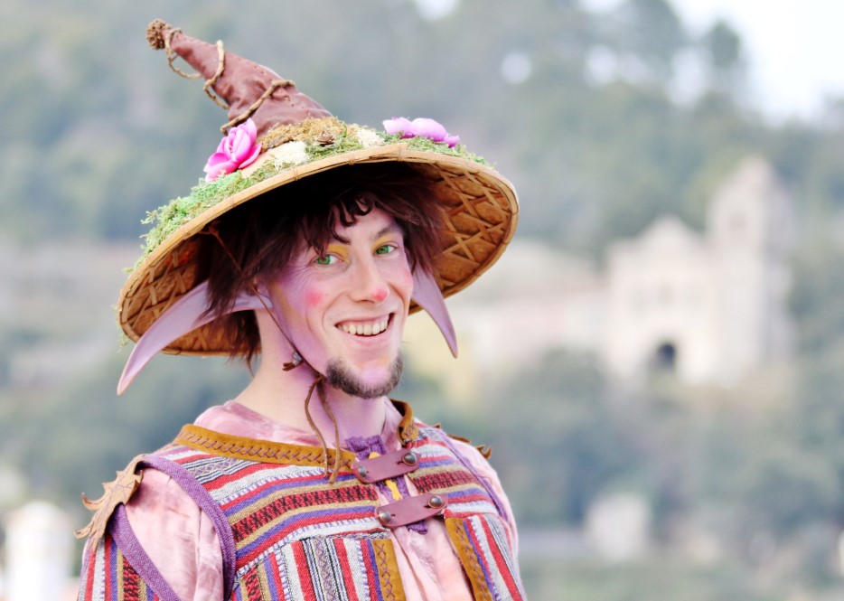 Sul Informação - Festival mostra a beleza das Camélias de Monchique