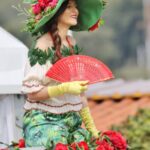 Sul Informação - Festival mostra a beleza das Camélias de Monchique