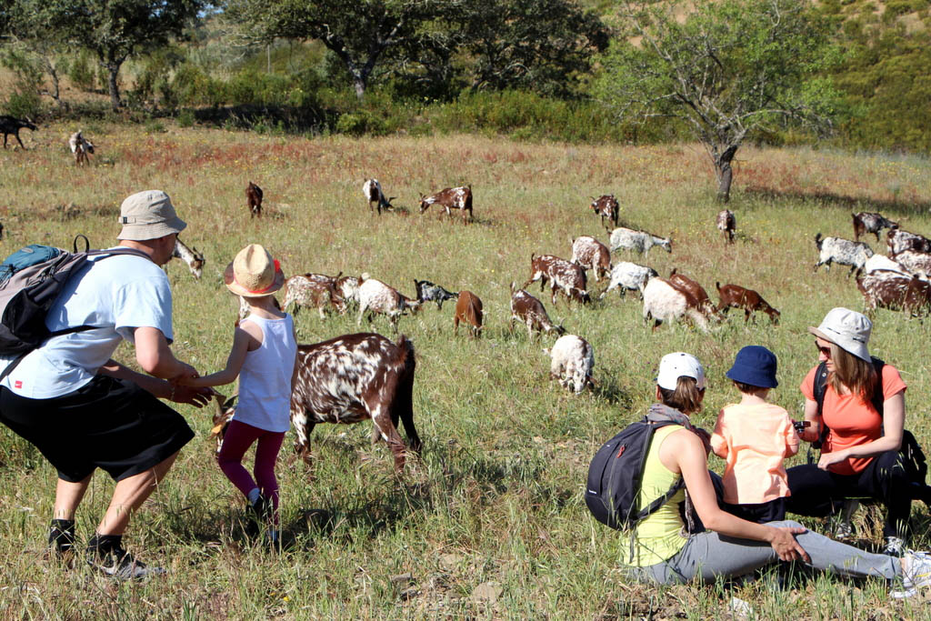 Sul Informação - Património natural e cultural em foco no Festival de Caminhadas de Alcoutim