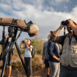 Sul Informação - Festival de Observação de Aves de Sagres marcado para Outubro com vertente online