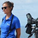 Sul Informação - Todos de cabeça no ar em Sagres para o Festival de Observação de Aves