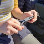 Sul Informação - Primeiro dia do Festival de Observação de Aves de Sagres culmina com libertação de águia-calçada