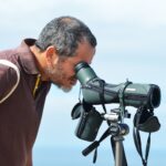 Sul Informação - Todos de cabeça no ar em Sagres para o Festival de Observação de Aves