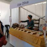 Sul Informação - Primeiro dia do Festival de Observação de Aves de Sagres culmina com libertação de águia-calçada