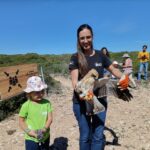Sul Informação - Primeiro dia do Festival de Observação de Aves de Sagres culmina com libertação de águia-calçada
