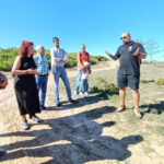 Sul Informação - Primeiro dia do Festival de Observação de Aves de Sagres culmina com libertação de águia-calçada