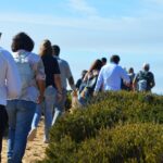 Sul Informação - Todos de cabeça no ar em Sagres para o Festival de Observação de Aves