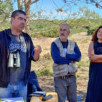 Sul Informação - Primeiro dia do Festival de Observação de Aves de Sagres culmina com libertação de águia-calçada
