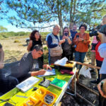 Sul Informação - Primeiro dia do Festival de Observação de Aves de Sagres culmina com libertação de águia-calçada