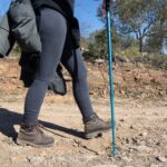 Sul Informação - Amendoeiras em flor enchem Alta Mora de gente com muita vontade de caminhar