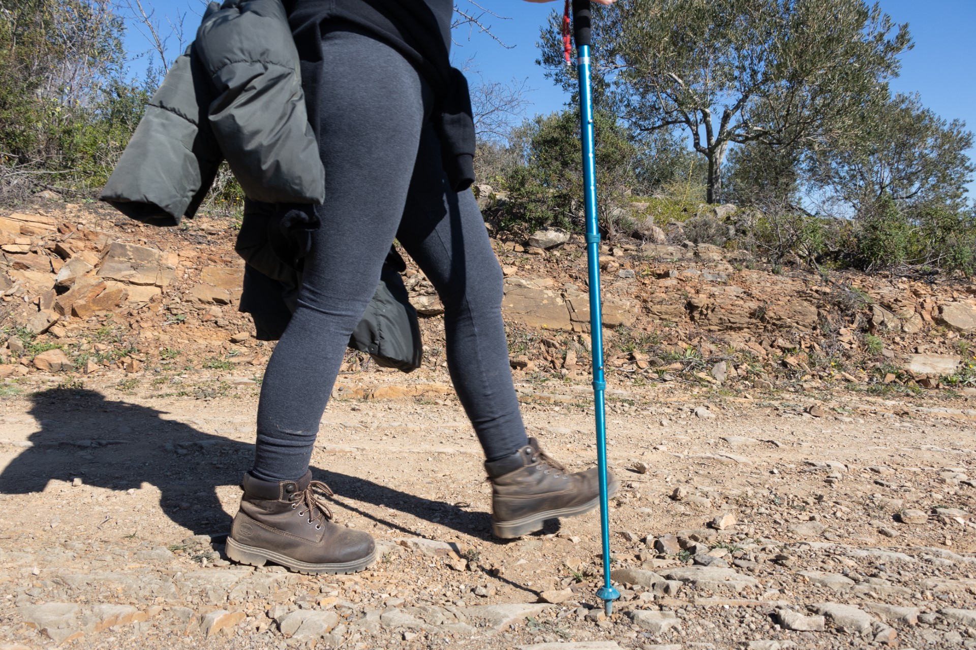 Sul Informação - Amendoeiras em flor enchem Alta Mora de gente com muita vontade de caminhar