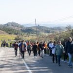 Sul Informação - Amendoeiras em flor enchem Alta Mora de gente com muita vontade de caminhar