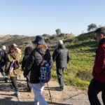 Sul Informação - Amendoeiras em flor enchem Alta Mora de gente com muita vontade de caminhar