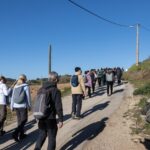 Sul Informação - Amendoeiras em flor enchem Alta Mora de gente com muita vontade de caminhar