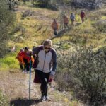 Sul Informação - Amendoeiras em flor enchem Alta Mora de gente com muita vontade de caminhar