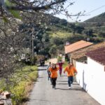 Sul Informação - Amendoeiras em flor enchem Alta Mora de gente com muita vontade de caminhar