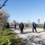 Sul Informação - Amendoeiras em flor enchem Alta Mora de gente com muita vontade de caminhar