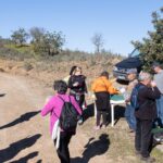 Sul Informação - Amendoeiras em flor enchem Alta Mora de gente com muita vontade de caminhar