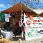 Sul Informação - Descobrimentos recordados em mais um festival que atraiu milhares a Lagos