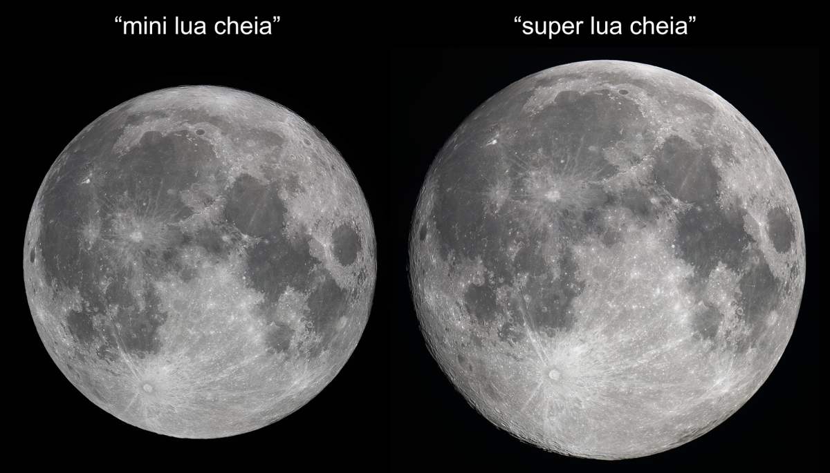 Sul Informação - Fevereiro é o mês do ano novo chinês e da primeira mini lua cheia do ano