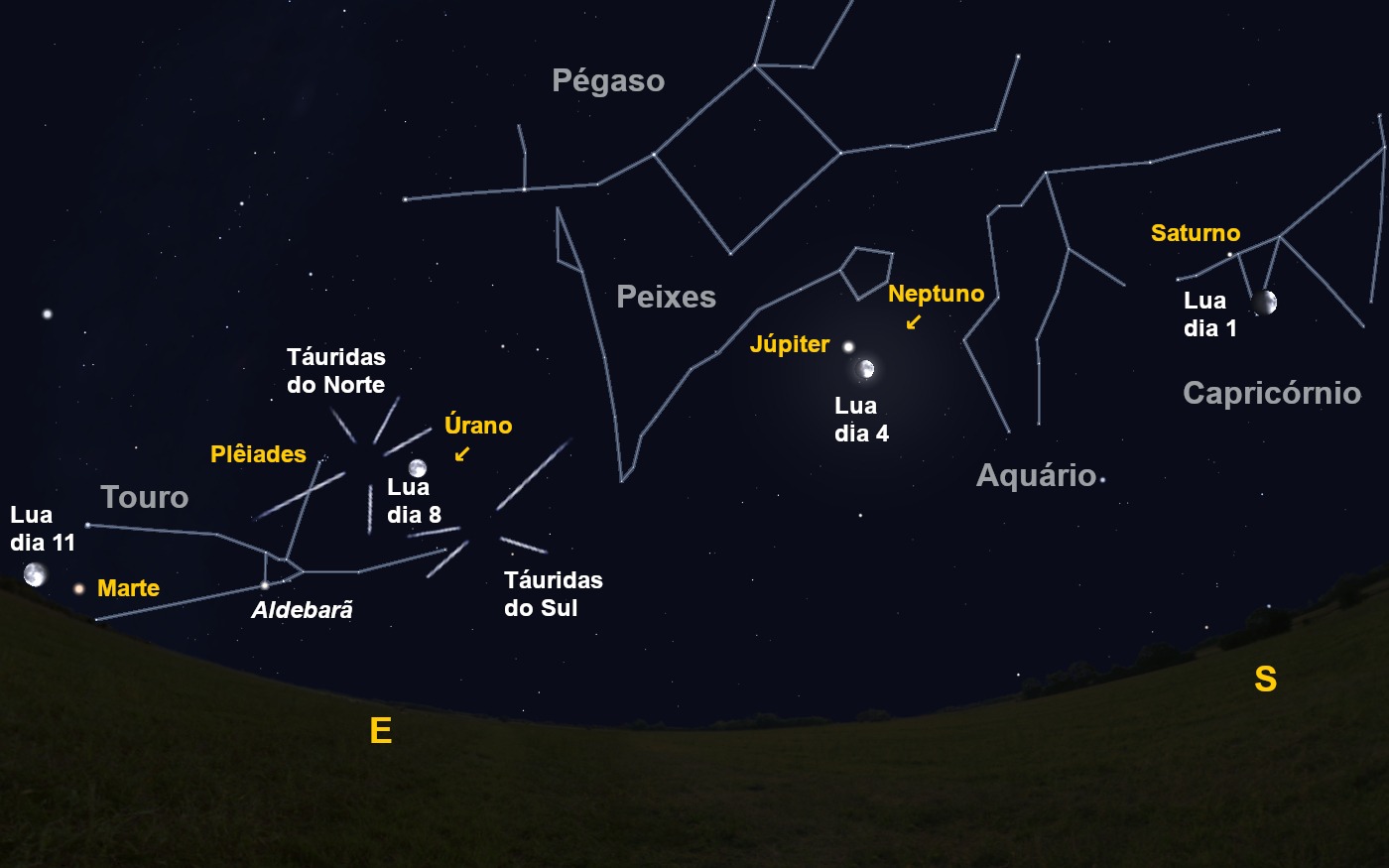 Sul Informação - Em Novembro, há três “chuvas de estrelas” e o aniversário do Sputnik e da Laika