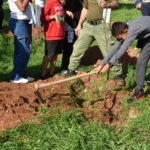 Sul Informação - Alunos de Quarteira plantam amendoeiras na Escola EB 2,3 D. Dinis