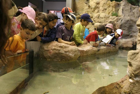 Sul Informação - Espaço Bioaquakids espera os mais jovens no Fluviário de Mora