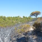 Sul Informação - Incendiário de Benagil continua a ser procurado pelas autoridades