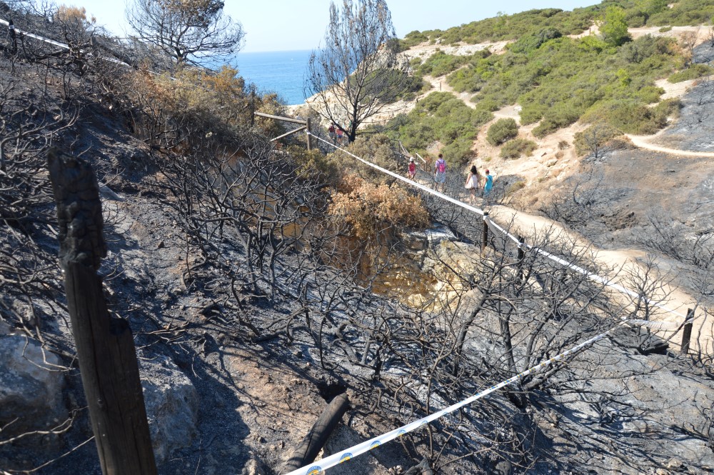 Sul Informação - Incendiário de Benagil continua a ser procurado pelas autoridades