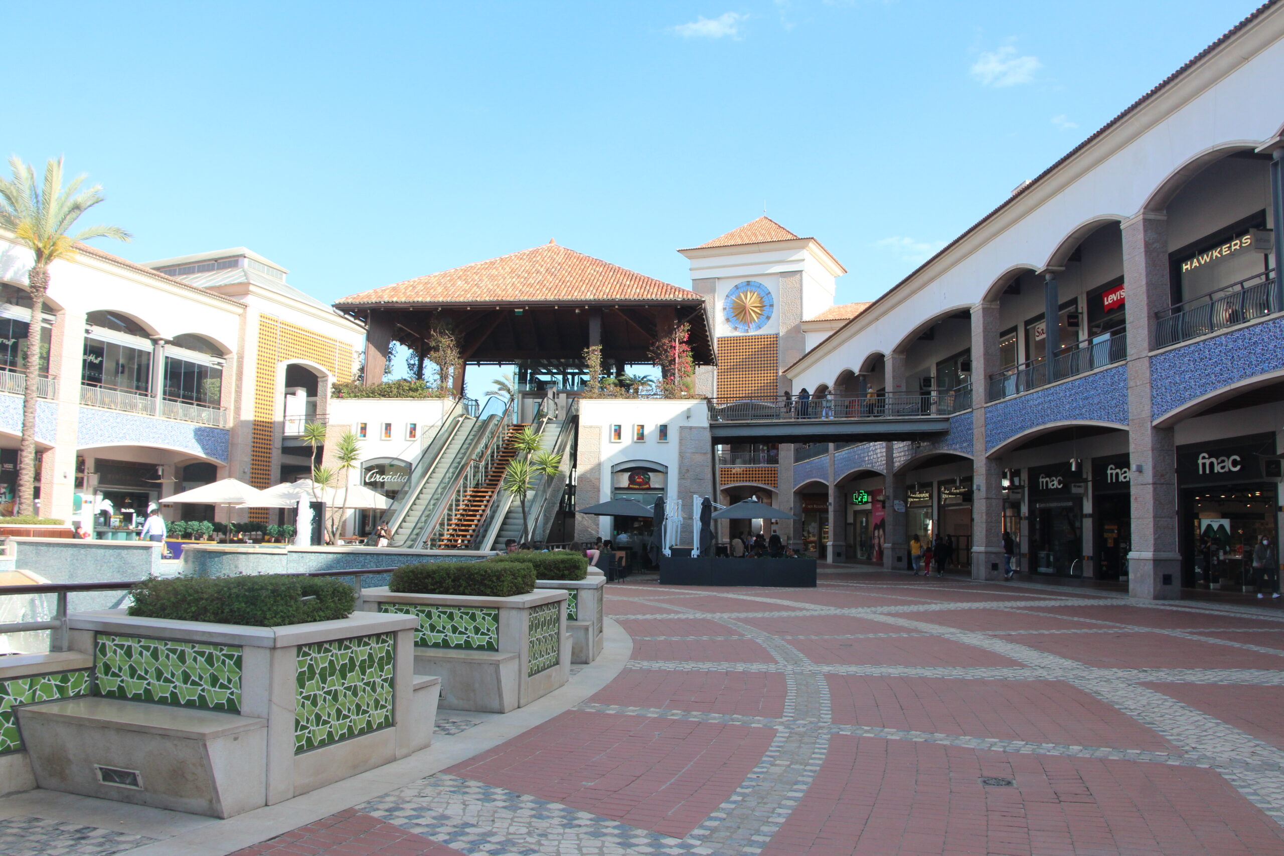 Sul Informação - Forum Algarve lança campanha dedicada à sustentabilidade ambiental