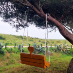 Sul Informação - Vila do Bispo: Monte dos Amantes já tem um baloiço