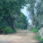 Sul Informação - Silves conclui pavimentação de caminho em Pêra