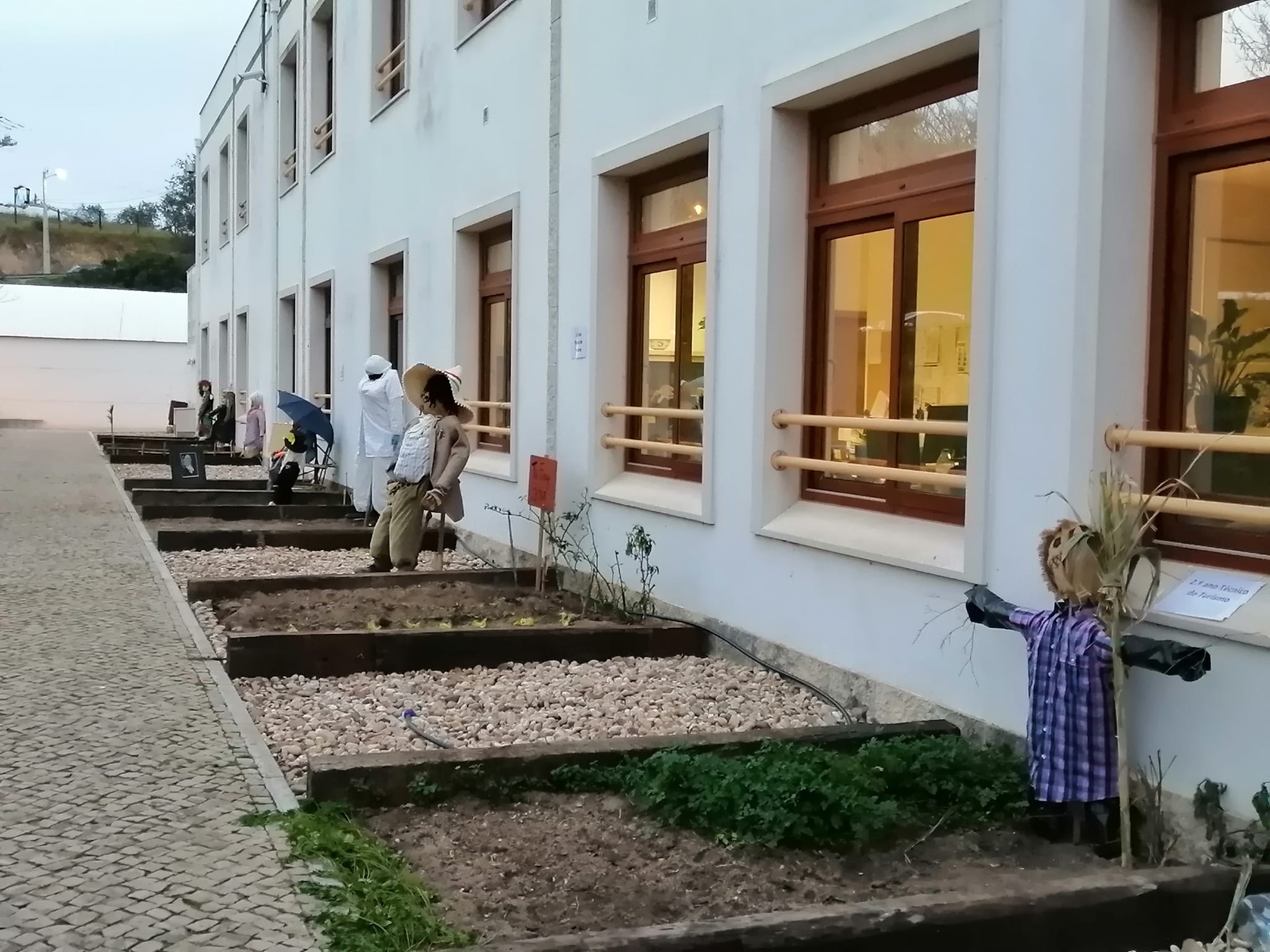 Sul Informação - Projeto “Hortas Pedagógicas” da Escola Profissional de Alte distinguido com Menção Honrosa