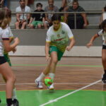 Sul Informação - Andebol Clube Olhão prepara arranque da época para escalões a partir dos 6 anos