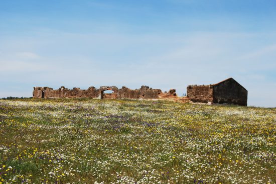 Sul Informação - Exposição de fotografia em Ourique mostra como “É tão grande o Alentejo”